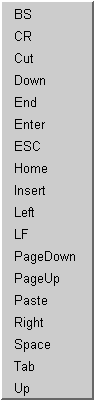 Named symbolic keystroke pop up menu. Used to provide quick choices for keystroke symbols like ‘Home’, ‘PageDown’ and ‘ESC’.