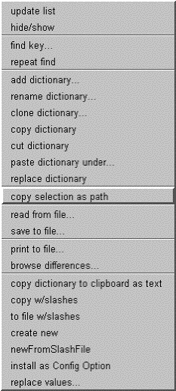 Image of the pop menu in the dictionary pane. The new menu item is "copy selection as path".